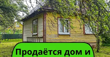 Дом в Лошанский сельский Совет, Беларусь