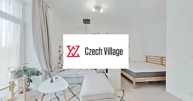 1 bedroom apartment in Prague, Czech Republic