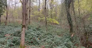 Plot of land in Khresili, Georgia