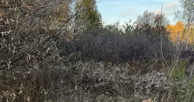 Grundstück in Zimyonki Zimenki Zimenka, Russland