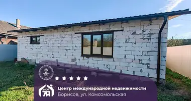 Дом в Борисов, Беларусь