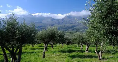 Terrain dans Armeni, Grèce