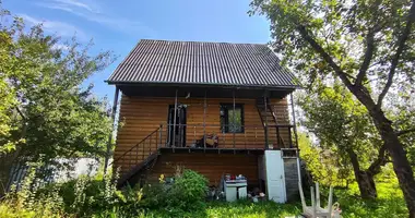 House in Nieharelski sielski Saviet, Belarus