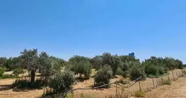 Plot of land in Latsia, Cyprus