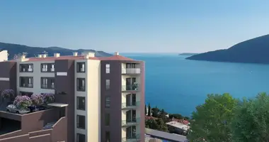Wohnung 1 Schlafzimmer in Topla, Montenegro