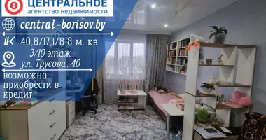 Appartement 1 chambre dans Borissov, Biélorussie