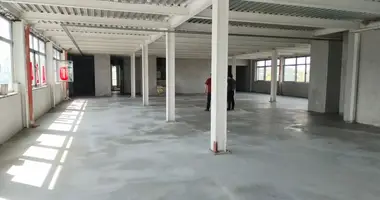 Büro 1 400 m² in Veshki, Russland