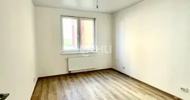 Apartment in Nizhny Novgorod, Russia