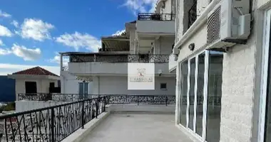 3 bedroom apartment in Topla, Montenegro