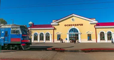 House in Asipovichy, Belarus