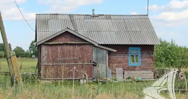 Dom w Dzmitrovicki sielski Saviet, Białoruś