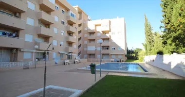 Apartamento 1 habitacion en Torrevieja, España