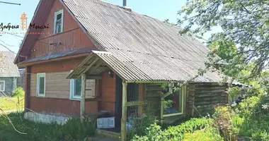 Dom w Naracki sielski Saviet, Białoruś