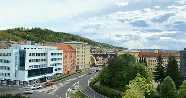 Квартира 3 комнаты в okres Karlovy Vary, Чехия