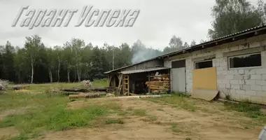 Produktion 105 m² in Muchaviec, Weißrussland