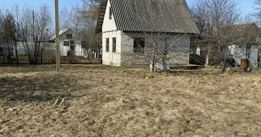 House in Zajamnauski sielski Saviet, Belarus