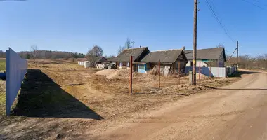 House in Hajnienski sielski Saviet, Belarus