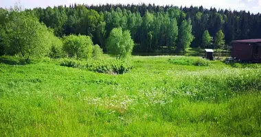 Plot of land in Putcynski sielski Saviet, Belarus