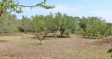 Plot of land in Makrigialos, Greece