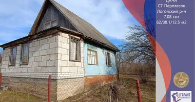 Dom w Bialarucki sielski Saviet, Białoruś