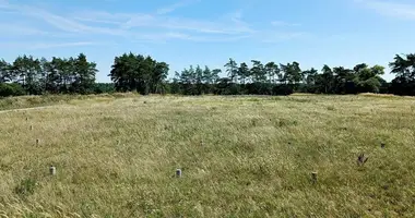 Terrain dans Jarocin, Pologne
