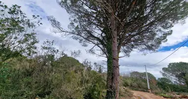 Terrain dans Zagora, Monténégro