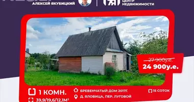 Dom w Zodzinski sielski Saviet, Białoruś