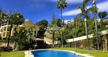 Appartement 2 chambres dans San Pedro Alcantara, Espagne
