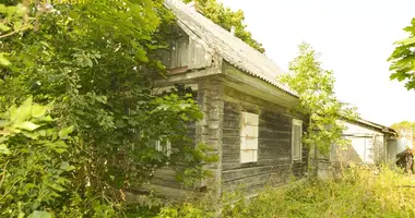 House in Sieleucy, Belarus