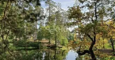 Plot of land in Chernuhinskiy selsovet, Russia