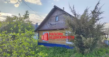 House in Alieksycy, Belarus