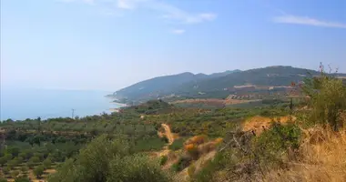 Terrain dans Folia, Grèce