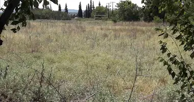 Plot of land in Neo Rysio, Greece