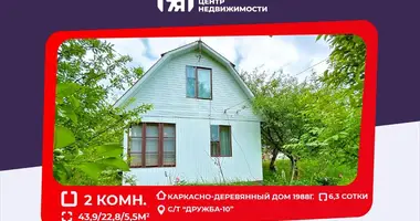 House in Starobin, Belarus