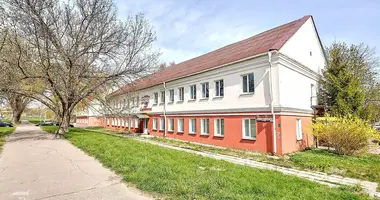 Коммерческое помещение 869 м² в Минск, Беларусь