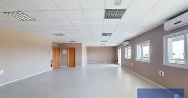 Bureau 119 m² dans Elx Elche, Espagne
