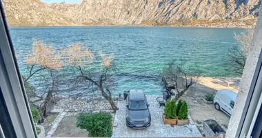Willa w Kotor, Czarnogóra
