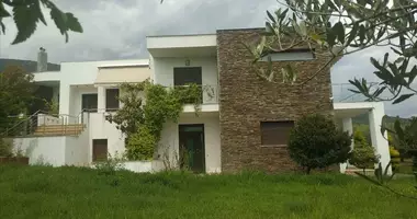 Villa 4 bedrooms in Aravissos, Greece