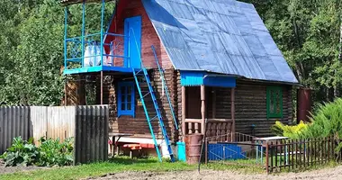 House in Krupauski sielski Saviet, Belarus