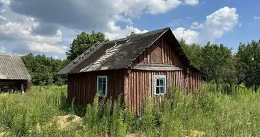 House in Dukorski sielski Saviet, Belarus