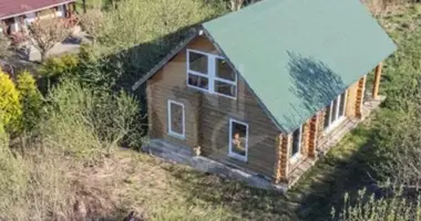 House in Piatryskauski sielski Saviet, Belarus