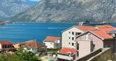 1 bedroom apartment in Dobrota, Montenegro