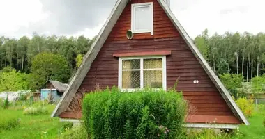 House in Chaciuchouski sielski Saviet, Belarus