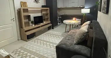 1 bedroom apartment in Montenegro