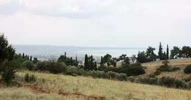 Grundstück in Municipality of Pylaia - Chortiatis, Griechenland