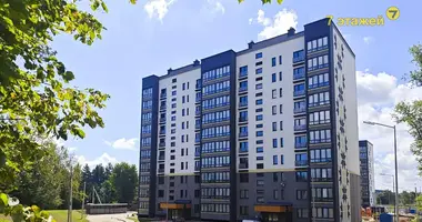 Apartamento 1 habitación en Ratomka, Bielorrusia