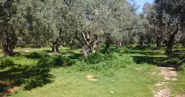 Plot of land in Ormos Prinou, Greece