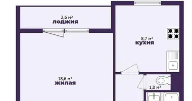 Appartement 1 chambre dans Minsk, Bélarus