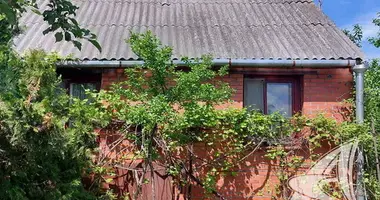 House in Skoki, Belarus