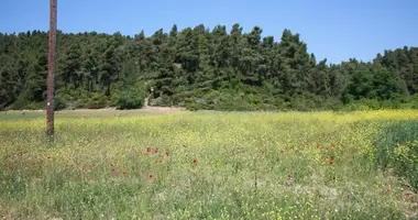 Plot of land in Municipality of Kassandra, Greece